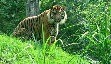 HADGARH WILDLIFE SANCTUARY