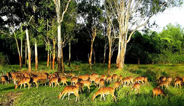 KOTAGARH WILDLIFE SANCTUARY