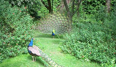 LAKHARI WILDLIFE SANCTUARY