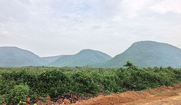 SAPTASAJYA NATURE AND WILDLIFE