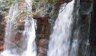 SAPTASAJYA NATURE AND WILDLIFE
