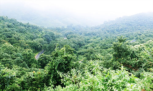 belghar forest
