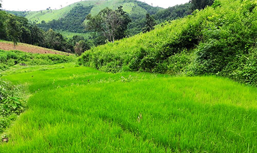 belghar nature
