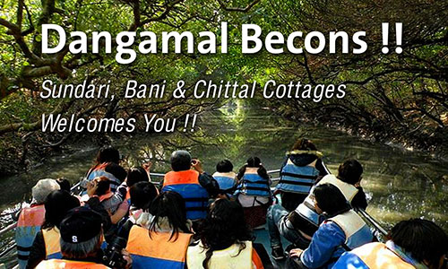 Bhitarkanika Nature Camps