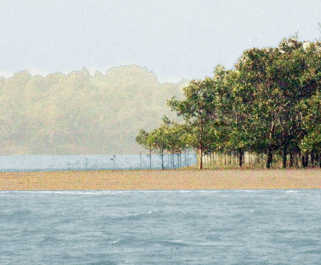 gahirmatha beach