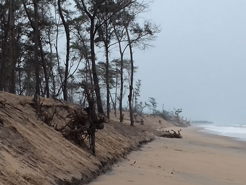 gahirmatha beach