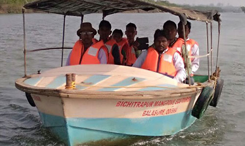 Boat at bichitrapur nature camp