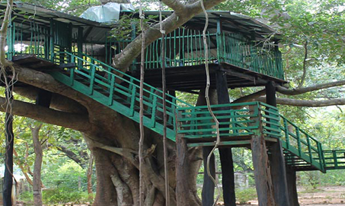 Nature camp at bhanjanagar