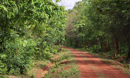 Chandaka-Dampara Wildlife Sanctuary
