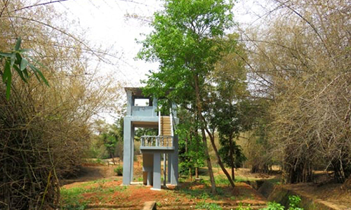 Chandaka-Dampara Wildlife Sanctuary