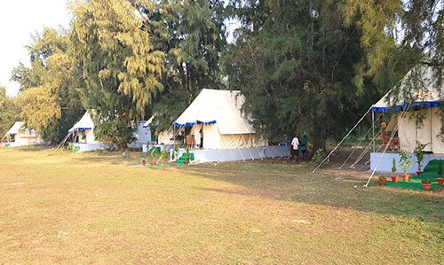 Tent house at Mangalajodi nature camp