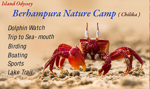 Berhampur nature camp