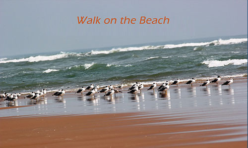 walk on the beach