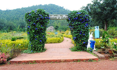 Nature Park- Nearby Destinations Daringbadi Nature Camp