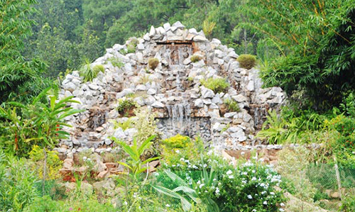 Nature Park- Nearby Destinations Daringbadi Nature Camp
