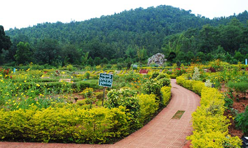Nature Park- Nearby Destinations Daringbadi Nature Camp