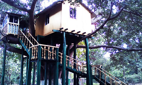 Giant Squirrel Nature Camp