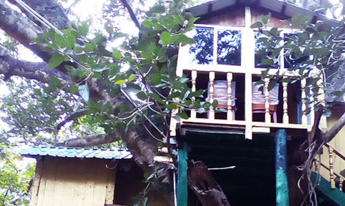 Giant Squirrel Nature Camp