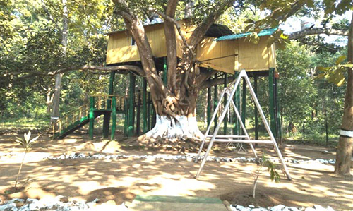 Tree house at Giant Squirrel Nature Camp