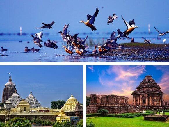 Puri-Konark-Chilika-Tour<