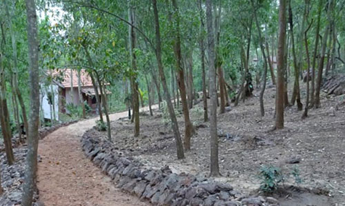 Olasuni Nature Camp