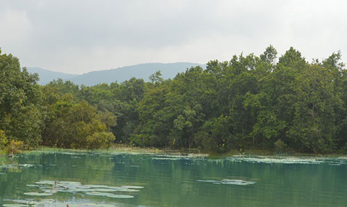 Rissia Nature Camp