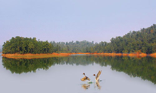 Sarafgarh Nature Camp