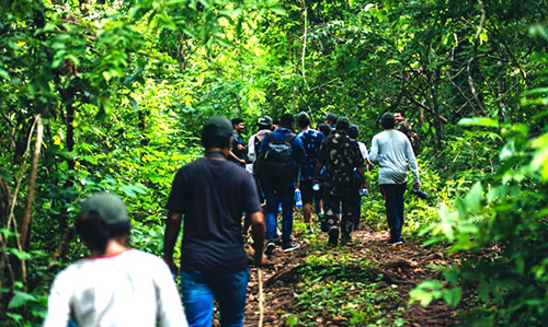 walk in forest- Satkosia Sands Resort