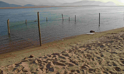 Where to Stay- Satkosia Sands Resort camp