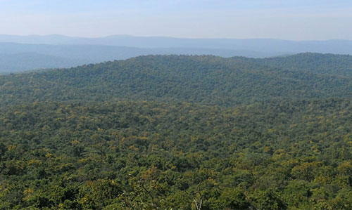 Similipal forest overview