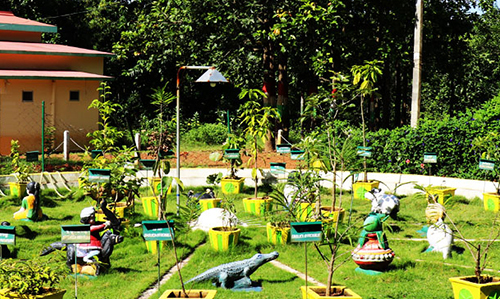 Nawana: A green valley with crop lands