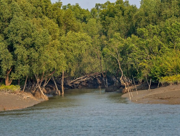 gajikhali