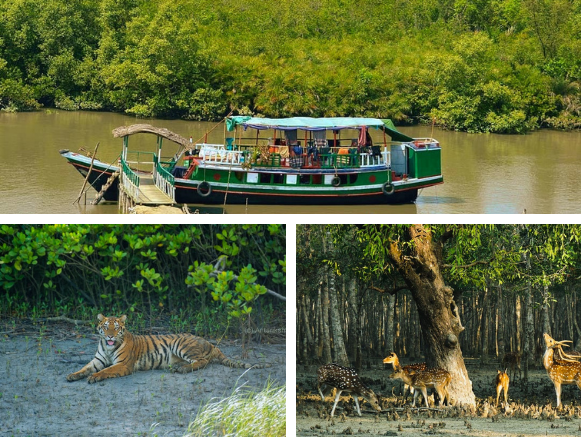 Sundarban Tour Package