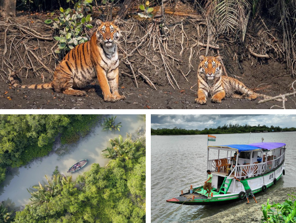 sundarban-wildlife-tour<