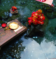 Daringbadi Taptapani Tour