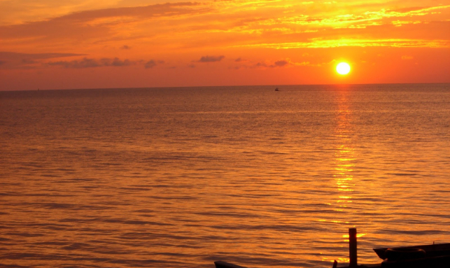 Honeymoon At Chirping Chilika Tour Gallery 3