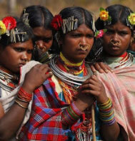 Tiger Tribal and Temple Tour