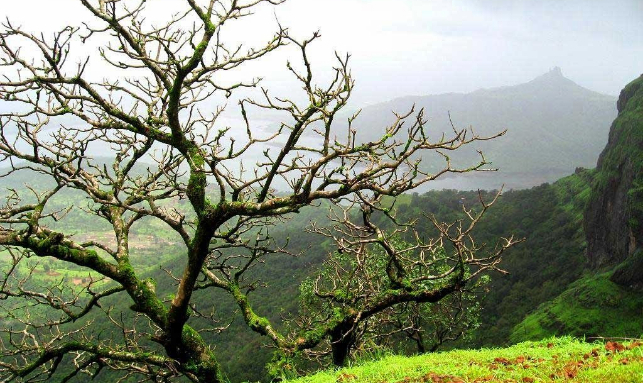Explore Orissa Tour Gallery 3