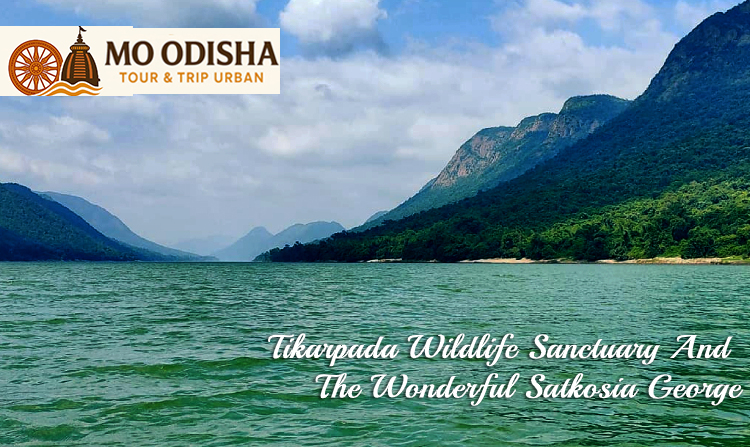tikarpada wildlife sanctuary and  the wonderful satkosia george