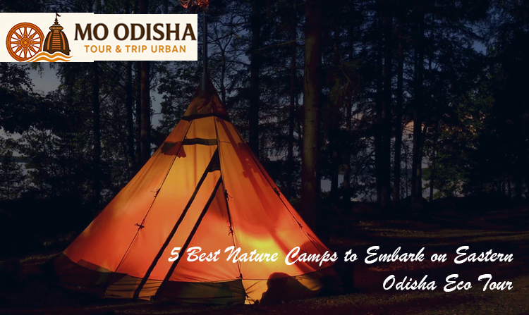 5 Best Nature Camps to Embark on Eastern Odisha Eco Tour