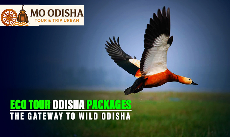 Eco Tour Odisha