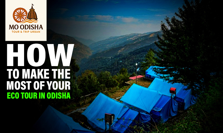 How To Make The Most Of Your Eco Tour In Odisha