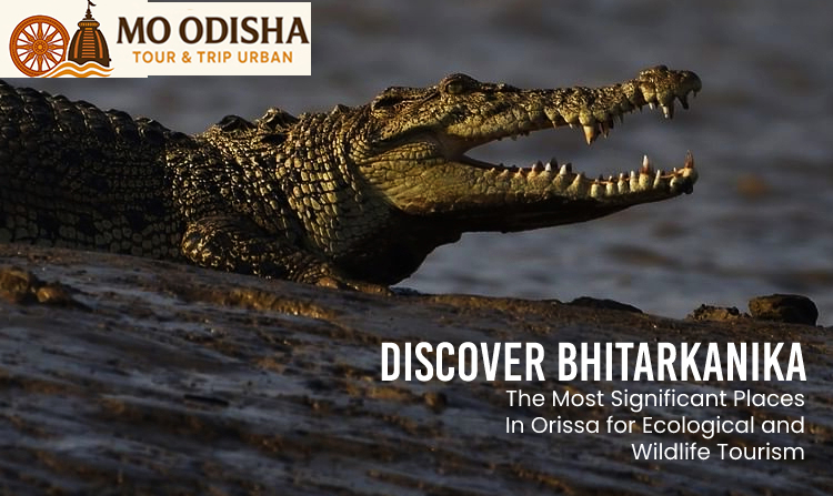 Bhitarkanika tour package