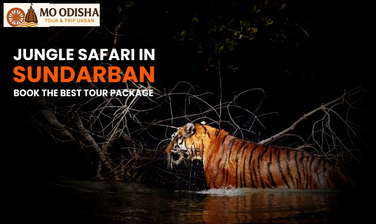 Sundarban jungle safari